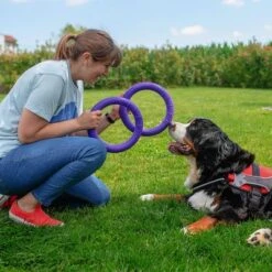 Ferplast Puller Dog Toy -Perfect Care Shop 199296 ferplastitalien ferplast hundespielzeug puller midi 27cm hs 11 7