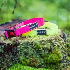 Rukka® Set: Bliss Neon Collar & Leash -Perfect Care Shop 1 331496 331596 331696 331697 rukka bliss neon halsband pink hs 02 5