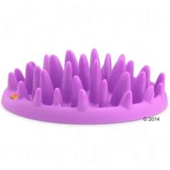 NORTHMATE ® Catch Cat Feeder -Perfect Care Shop 1 63169 karlie northmate catch 01 7