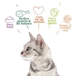 Yarrah Organic Chunks Saver Pack 12 X 405g 10 Yarrah Organic Chunks Saver Pack 12 X 405g -Perfect Care Shop 1 7122 cat tin chunks chicken beef 405g 8714265071225 2 0