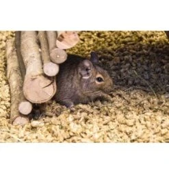 Bunny Bedding Cosy -Perfect Care Shop 1 73379 bunny beddingcosy hs 02 8