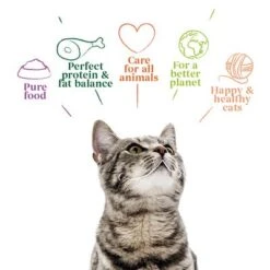 Yarrah Organic Fillets In Sauce 14 X 85g 15 Yarrah Organic Fillets In Sauce 14 X 85g -Perfect Care Shop 1 8136 cat pouch chicken 85g 8714265000829 2 3