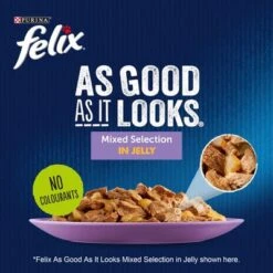 Felix As Good As It Looks Pouches In Jelly 88 X 85g -Perfect Care Shop 1 foodshot 1 6