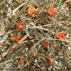 3kg Greenwoods Meadow Hay Mixed Trial Pack -Perfect Care Shop 1 greenwoods heu karotte 6