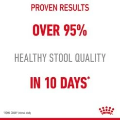 Royal Canin Digestive Care In Gravy 10 Royal Canin Digestive Care In Gravy -Perfect Care Shop 1 rc fcn digestivecarepouchgravy 3 en gb 8