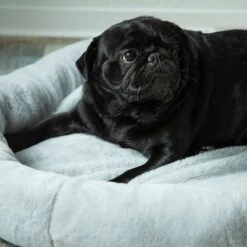 HAFENBANDE Flory Heating Pad -Perfect Care Shop 200322 waagenschmitt hafenbande heizmatte flory hs 12 1