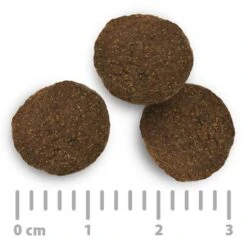 Purizon Grain-Free 80:20:0 Economy Packs 2 X 12kg -Perfect Care Shop 2020 08 purizon food size 1000x1000 int 9