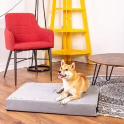 Classic Dog Mattress -Perfect Care Shop 203327 203328 geop zooplusexclusive hundematratze classic hs 15 0