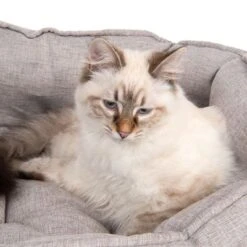 Batumi Cat Bed -Perfect Care Shop 203335 batumi und katze fg 9812 0