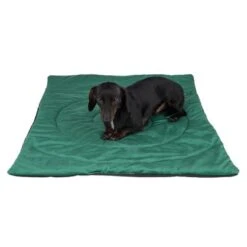 Compass Travel Dog Mat -Perfect Care Shop 203427 reisedecke kompass fg 0152 2