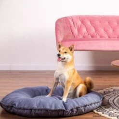 Cape Town 2-in-1 Cat Bed -Perfect Care Shop 203436 geop katzenbett kapstadt 2in1 hs 01 1