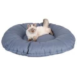 Cape Town 2-in-1 Cat Bed -Perfect Care Shop 203436 kapstadt und katze fg 9819 3