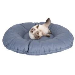 Cape Town 2-in-1 Cat Bed -Perfect Care Shop 203436 kapstadt und katze fg 9820 4