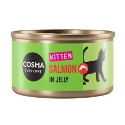 Cosma Original Kitten Saver Pack 24 X 85g -Perfect Care Shop 203440 pla cosma kitten salmon jelly 85g 1000x1000 6