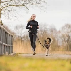 Trixie Jogging Belt With Leash - Grey/ Black -Perfect Care Shop 203777 trixie jogginggurt leine grauschwarz hs 13 6