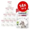 Yarrah Organic Fillets In Sauce 14 X 85g