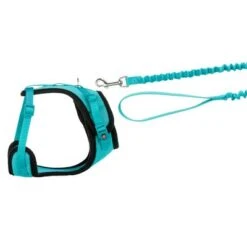 Trixie Mesh Y-Harness With Elastic Leash -Perfect Care Shop 203970 trixie mesh ygeschirr elastischerleine hs 03 9