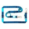 Max & Molly Multifunctional Leash Matrix Sky Blue