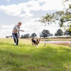 Trixie Bait Trap -Perfect Care Shop 209093 trixie reizangel hs 06 8