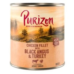 Purizon Adult Saver Pack 24 X 800g -Perfect Care Shop 209099 pla purizon black angus 800g 4