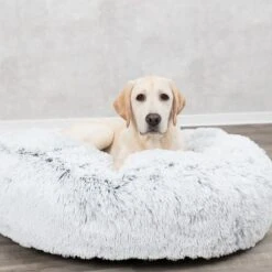 Trixie Harvey Cushion - Round -Perfect Care Shop 211296 209069 211297 trixie kissen harvey rund hs 06 1