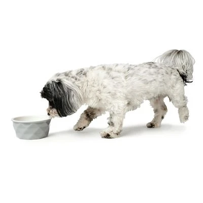 HUNTER Eiby Ceramic Bowl - Grey 2 HUNTER Eiby Ceramic Bowl - Grey - Image 2