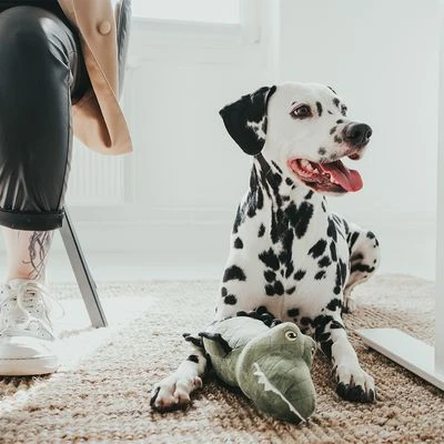 HUNTER Tough Toys Crocodile Dog Toy 2 HUNTER Tough Toys Crocodile Dog Toy - Image 2