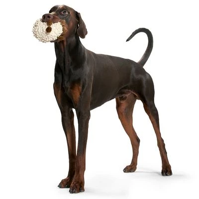 HUNTER Dog Toy Snugly Sheep 2 HUNTER Dog Toy Snugly Sheep - Image 2