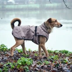 HUNTER Uppsala Dog Coat -Perfect Care Shop 213996 213997 213998 212936 212937 212938 212939 hunter hundemantel uppsala bejie hs 12 1