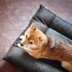 HUNTER Bologna Dog Bed - Black -Perfect Care Shop 214699 214700 hunter hundebett bologna schwarz hs 09 2