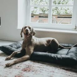 HUNTER Bologna Dog Bed - Black -Perfect Care Shop 214699 214700 hunter hundebett bologna schwarz hs 10 8