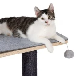 Raleigh Scratching Tree -Perfect Care Shop 216199 kratzbaum raleigh fg 8247 8