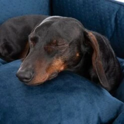 Bed Lublin With Pillow 11 Bed Lublin With Pillow -Perfect Care Shop 218997 hundebett lublin fg 8655 6