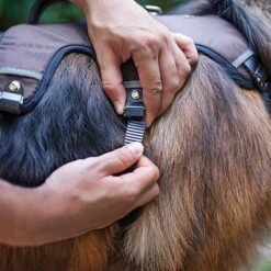 Ferplast Ergotrekking Harness, Brown -Perfect Care Shop 224505 224506 224507 ferplast ergotrekking geschirr braun hs 11 2