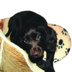 SnuggleSafe Heat Pad For Pets -Perfect Care Shop 22802 snugglesafe heizkissen f r haustiere hs dog 1