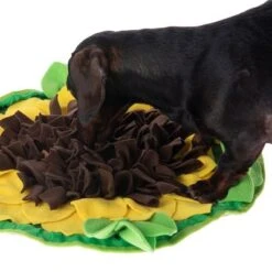 Sniffing Carpet Sunnyflower -Perfect Care Shop 229108 sunnyflower fg 0609 1