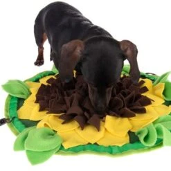 Sniffing Carpet Sunnyflower -Perfect Care Shop 229108 sunnyflower fg 0639 1