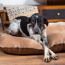 Tibia Dog Mattress 12 Tibia Dog Mattress -Perfect Care Shop 229196 geop zooplusexclusive hundematratze tibia hs 07 3