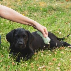 Pet Teezer Puppy Brush -Perfect Care Shop 230724 pet teezer welpenbuerste hs 17 0