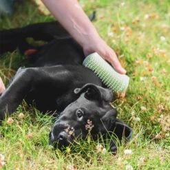 Pet Teezer Puppy Brush -Perfect Care Shop 230724 pet teezer welpenbuerste hs 19 6