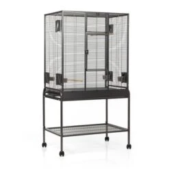 Birdcage Montana Madeira Single