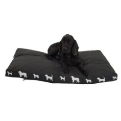 Silhouettes Black Dog Cushion 13 Silhouettes Black Dog Cushion -Perfect Care Shop 231893 white dogs 06 dsc5688 6