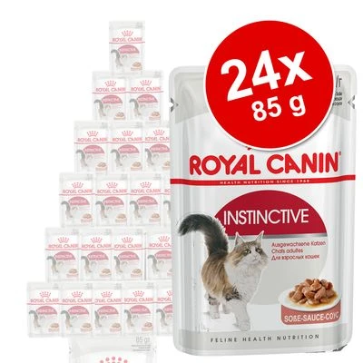 Royal Canin Wet Cat Food Saver Pack 24 X 85g 1 Royal Canin Wet Cat Food Saver Pack 24 X 85g