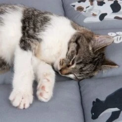 Cat Cushion Medley -Perfect Care Shop 233899 katzenkissen medley fg 9770 3