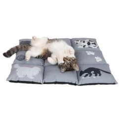 Cat Cushion Medley -Perfect Care Shop 233899 katzenkissen medley fg 9775 0