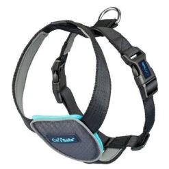 CarSafe Dog Travel Harness - Black