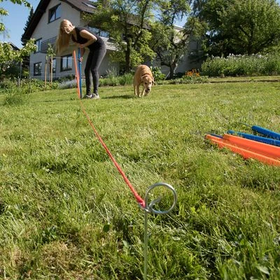 Agility Fun & Sport Slalom Set 5 Agility Fun & Sport Slalom Set - Image 5