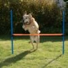 Agility Fun & Sport Hurdle