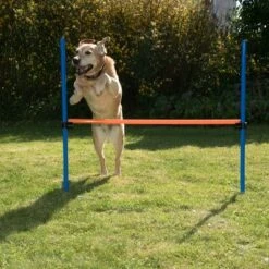 Agility Fun & Sport Hurdle -Perfect Care Shop 23799 agility fun sport huerde fg 8 6