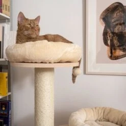 Natural Paradise Cat Tree Magnolia L 14 Natural Paradise Cat Tree Magnolia L -Perfect Care Shop 239396 np magnolia im wohnraum fg 8826 0